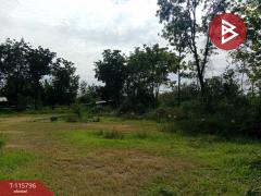 ขายที่ดิน เนื้อที่ 8 ไร่ 2 งาน 27 ตร.วา หนองบัว นครสวรรค์-202507051053321751687612908.jpg