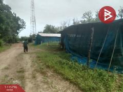 ขายที่ดิน เนื้อที่ 8 ไร่ 2 งาน 27 ตร.วา หนองบัว นครสวรรค์-202507051053341751687614035.jpg