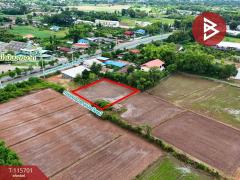 ขายที่ดิน เนื้อที่ 3 งาน 98 ตร.วา คุ้งตะเภา อุตรดิตถ์-202507051152281751691148190.jpg