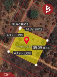 ขายที่ดินเปล่า 1 ไร่ เทิง เชียงราย-202507051228191751693299371.jpg