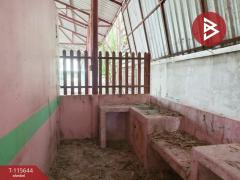 ขายโกดังพร้อมบ้านเดี่ยว เนื้อที่ 2 งาน 68 ตร.วา บางเลน นครปฐม-202507051319521751696392909.jpg