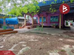ขายโกดังพร้อมบ้านเดี่ยว เนื้อที่ 2 งาน 68 ตร.วา บางเลน นครปฐม-202507051319541751696394589.jpg