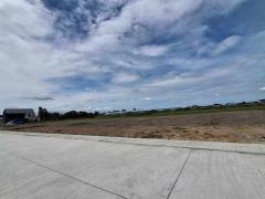 ขายที่ดิน+โกดัง 3.1 ล้านบาท-202507051451211751701881316.jpg