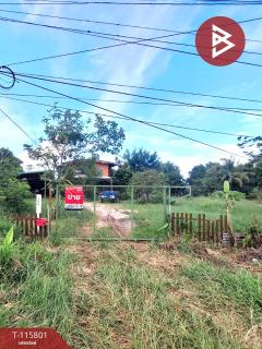 ขายบ้านเดี่ยวพร้อมที่ดิน เนื้อที่ 2 งาน 52 ตร.วา พระทองคำ นครราชสีมา