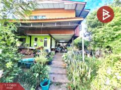 ขายบ้านเดี่ยวพร้อมที่ดิน เนื้อที่ 2 งาน 52 ตร.วา พระทองคำ นครราชสีมา-202507051548051751705285442.jpg