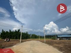 ขายที่ดิน เนื้อที่ 3 งาน 57 ตร.วา พลับพลา จันทบุรี-202507051617531751707073200.jpg