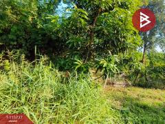 ขายที่ดิน เนื้อที่ 1 งาน สายไหม กรุงเทพมหานคร-202507051718081751710688983.jpg