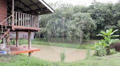 ขายที่ดิน (โฉนด) จังหวัดน่าน พื้นที่ 25 ไร่ *ใกล้สนามบิน 1 กม.-202507052013251751721205962.jpg