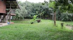 ขายที่ดิน (โฉนด) จังหวัดน่าน พื้นที่ 25 ไร่ *ใกล้สนามบิน 1 กม.-202507052013281751721208200.jpg