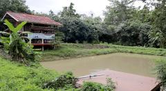ขายที่ดิน (โฉนด) จังหวัดน่าน พื้นที่ 25 ไร่ *ใกล้สนามบิน 1 กม.-202507052013311751721211970.jpg