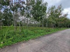 ขายที่ดิน โฉนด บ้านไม้หลา ร่อนพิบูลย์ นครศรีธรรมราช (ใกล้ถนนเส้นทุ่งสง-นครศรีฯ)-202507052111121751724672180.jpg