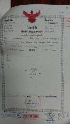 ที่ดินตัดแบ่งโฉนดแล้วขายทั้งแปลง. 7ไร่ 2งาน 30ตร.วา  แบ่ง 6ล็อค อาศัย  1ล็อคถนน-202507060948101751770090149.jpg