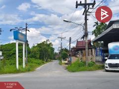 ขายบ้านเดี่ยว โครงการบ้านสวนสวย 3 ถนนชลประทานสี่ขวา นครศรีธรรมราช ต่อเติมพร้อมอยู่-202507061552291751791949371.jpg