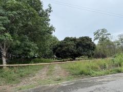 ที่ดินทำเลดี ใกล้ถนนใหญ่ อ.โป่งน้ำร้อน จันทบุรี