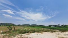 ขายที่ดินยกแปลง ติดกับการุ้งค้าเหล็ก ริมถนนอุทัย333-202507062032361751808756398.jpg