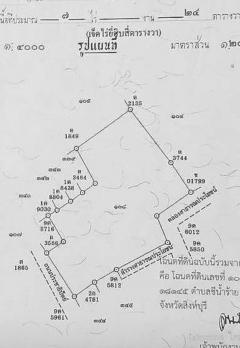 ขายด่วน ที่ดิน สิงห์บุรี อินทร์บุรี ชีน้ำร้าย 7 ไร่เศษ-202507062257001751817420244.jpg