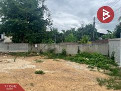 ขายที่ดิน เนื้อที่ 1 งาน 29.6 ตร.วา ดอกคำใต้ พะเยา-202507071008021751857682527.jpg