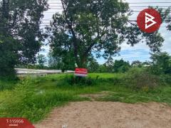 ขายที่ดิน เนื้อที่ 3 งาน 63.9 ตร.วา ใกล้แยกท่าจุ๊ย ท่าใหม่ จันทบุรี