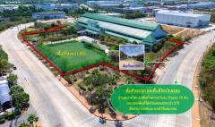 ขาย!! โรงงานใหญ่ ในนิคมอุตสาหกรรมสินสาคร จ.สมุทรสาคร ผังสีม่วง พร้อมที่ดิน 14 ไร่ 96.4 ตร.ว.**พร้อมใช้งาน**-202507071124041751862244508.jpg