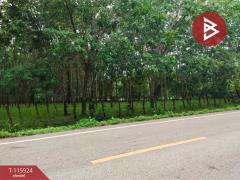 ขายที่ดิน เนื้อที่ 42 ไร่ 1 งาน 6 ตร.วา คำเตย นครพนม-202507071130051751862605794.jpg