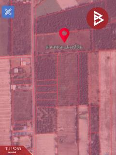 ขายที่ดิน เนื้อที่ 10 ไร่ 52 ตร.วา สวนผึ้ง ราชบุรี-202507071154031751864043439.jpg