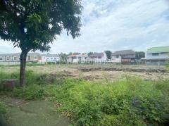 ที่ดินถมแล้ว หมู่บ้านลานทอง ติวานนท์-ปากเกร็ด นนทบุรี-202507071328471751869727459.jpg