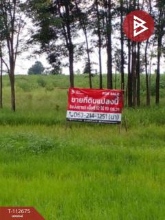 ขายที่ดิน เนื้อที่ 12 ไร่ 19 ตร.วา กุดรัง มหาสารคาม-202507071457301751875050290.jpg