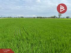 ขายที่ดิน เนื้อที่ 7 ไร่ 2 งาน 36 ตร.วา วัดพริก พิษณุโลก-202507071516171751876177684.jpg