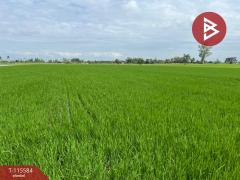 ขายที่ดิน เนื้อที่ 7 ไร่ 2 งาน 36 ตร.วา วัดพริก พิษณุโลก-202507071516181751876178246.jpg