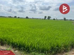 ขายที่ดิน เนื้อที่ 7 ไร่ 2 งาน 36 ตร.วา วัดพริก พิษณุโลก-202507071516181751876178798.jpg