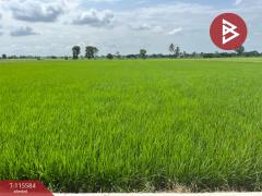 ขายที่ดิน เนื้อที่ 7 ไร่ 2 งาน 36 ตร.วา วัดพริก พิษณุโลก-202507071516191751876179402.jpg