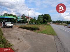 ขายที่ดินพร้อมสิ่งปลูกสร้าง เนื้อที่ 2 ไร่ 3 งาน 52 ตร.วา งิ้วงาม อุตรดิตถ์-202507071634031751880843766.jpg
