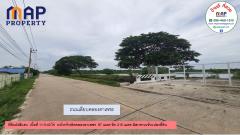 ที่ดินผังเมืองสีชมพู สมุทรสาคร-202507071902541751889774554.jpg