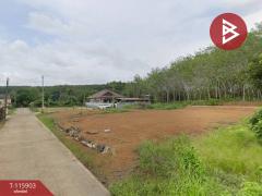 ขายที่ดิน เนื้อที่ 1 งาน 3 ตร.วา วังกระแจะ ตราด
