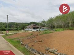 ขายที่ดิน เนื้อที่ 1 งาน 3 ตร.วา วังกระแจะ ตราด-202507081041461751946106764.jpg