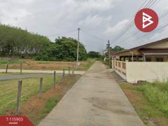 ขายที่ดิน เนื้อที่ 1 งาน 3 ตร.วา วังกระแจะ ตราด-202507081041491751946109914.jpg