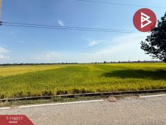 ขายที่ดิน-เนื้อที่-4-ไร่-2-งาน-34.2-ตร.วา-ค