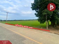 ขายที่ดิน เนื้อที่ 4 ไร่ 2 งาน 34.2 ตร.วา คุ้งตะเภา อุตรดิตถ์-202507081131031751949063122.jpg