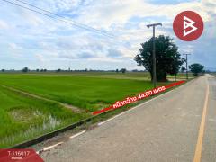 ขายที่ดิน เนื้อที่ 4 ไร่ 2 งาน 34.2 ตร.วา คุ้งตะเภา อุตรดิตถ์-202507081131031751949063668.jpg