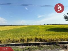 ขายที่ดิน เนื้อที่ 4 ไร่ 2 งาน 34.2 ตร.วา คุ้งตะเภา อุตรดิตถ์-202507081131041751949064752.jpg