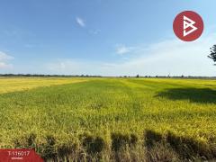 ขายที่ดิน เนื้อที่ 4 ไร่ 2 งาน 34.2 ตร.วา คุ้งตะเภา อุตรดิตถ์-202507081131051751949065306.jpg