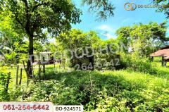 BO-924571 ที่ดินโนนไทย 220.6 ตร.ว. นครราชสีมา ใกล้ที่ว่าการอำเภอโนนไทย-202507081208151751951295242.jpg