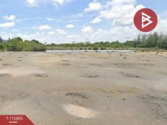ที่ดินเปล่า แบ่งขาย เริ่มต้น 1 ไร่ ทำเลดี ใกล้ชายหาดแหลมสิงห์ จันทบุรี-202507081215311751951731083.jpg