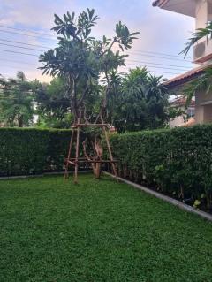 ให้เช่า บ้านเดี่ยว R003 บ้านมัณฑนา ศรีนครินทร์ 220 ตรม 60 ตรว-202507081336241751956584085.jpg