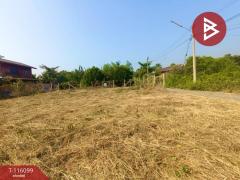 ขายที่ดิน เนื้อที่ 40.3 ตร.วา ลาดใหญ่ สมุทรสงคราม-202507081519311751962771884.jpg