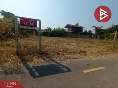ขายที่ดิน เนื้อที่ 40.3 ตร.วา ลาดใหญ่ สมุทรสงคราม-202507081519321751962772433.jpg