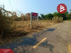 ขายที่ดิน เนื้อที่ 40.3 ตร.วา ลาดใหญ่ สมุทรสงคราม-202507081519331751962773520.jpg