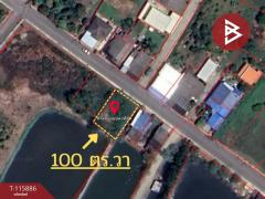 ขายที่ดิน เนื้อที่ 1 งาน บางกะจะ จันทบุรี-202507081642051751967725383.jpg