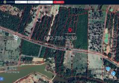 ขายที่ดินเรณูนคร นครพนม 4-2-20 ไร่ หน้าที่ดินติดถนนลาดยาง-202507081736141751970974764.jpg