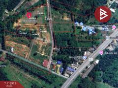  ขายที่ดิน เนื้อที่ 7 ไร่ 3 งาน 91.6 ตร.วา อ่าวนาง กระบี่-202507091119151752034755162.jpg